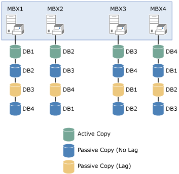 Layout de Cópia de Banco de Dados para Contoso, Ltd.