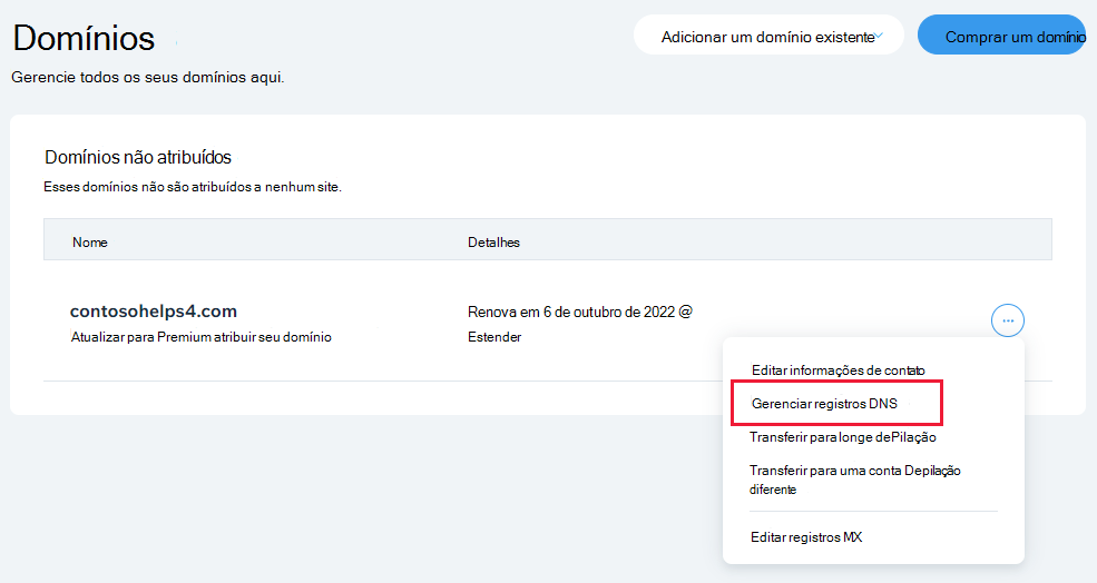 Selecione Gerir Registos DNS na lista pendente.