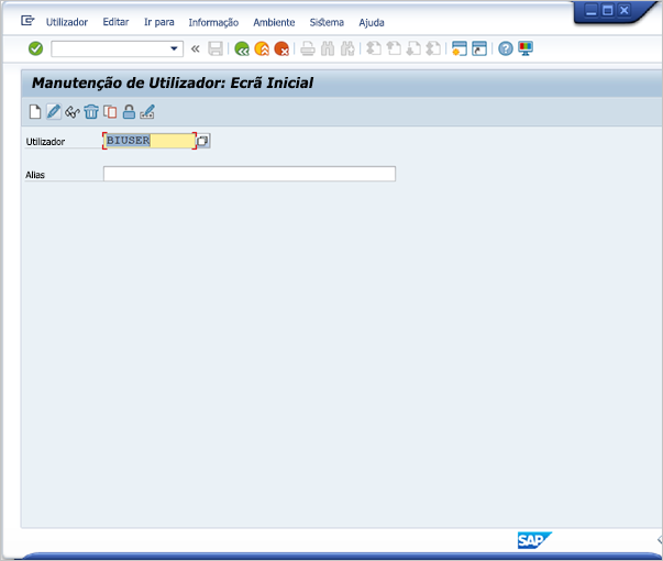 Tela de manutenção do usuário SAP BW