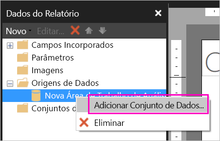 Captura de tela da opção Adicionar Conjunto de Dados em Fontes de Dados.