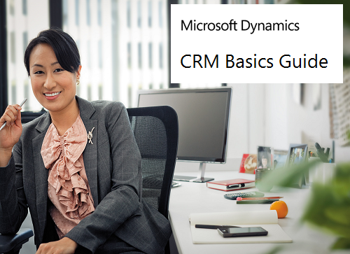 Captura de ecrã do Guia Noções Básicas do Dynamics 365