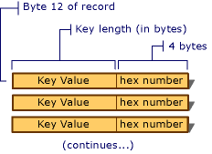 FoxPro Key Values