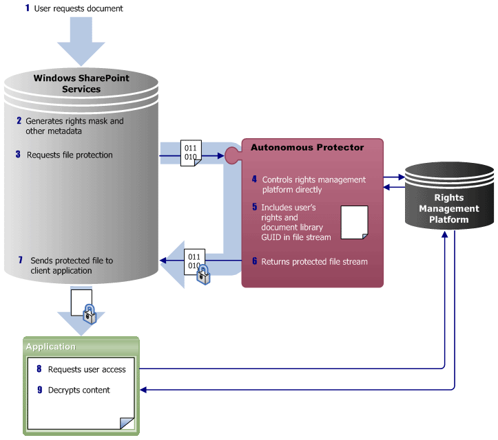 Steps of integrated IRM protector after request