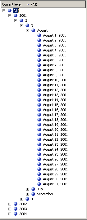 Members of the Date level