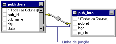 A linha de junção mostra a relação entre duas tabelas