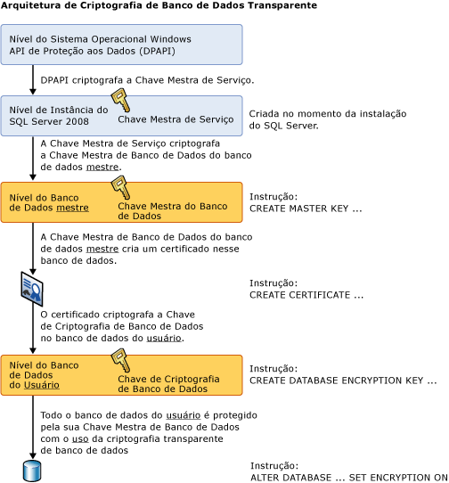 Exibe a hierarquia descrita no tópico.