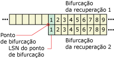 Como os LSNs são reutilizados em bifurcações de recuperação diferentes