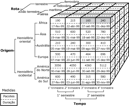 Células de terceiro e quarto trimestres para membro da segunda metade