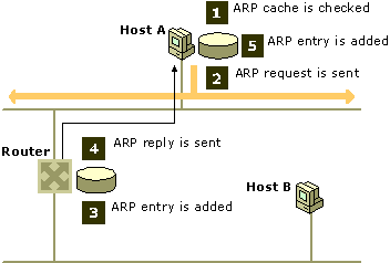 How ARP resolves media access control addresses