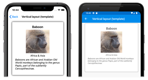 Captura de tela de um layout vertical do CarouselView, no iOS e Android