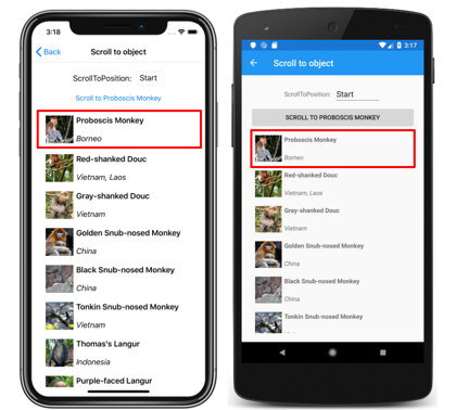 Captura de tela de uma lista vertical CollectionView com ScrollToPosition.Start, no iOS e no Android