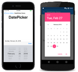 Exemplo de DatePicker