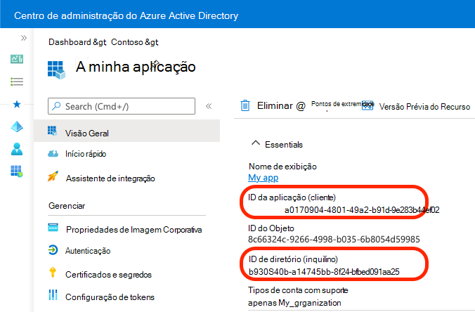 Captura de tela que mostra como copiar identificadores de aplicativo e diretório.