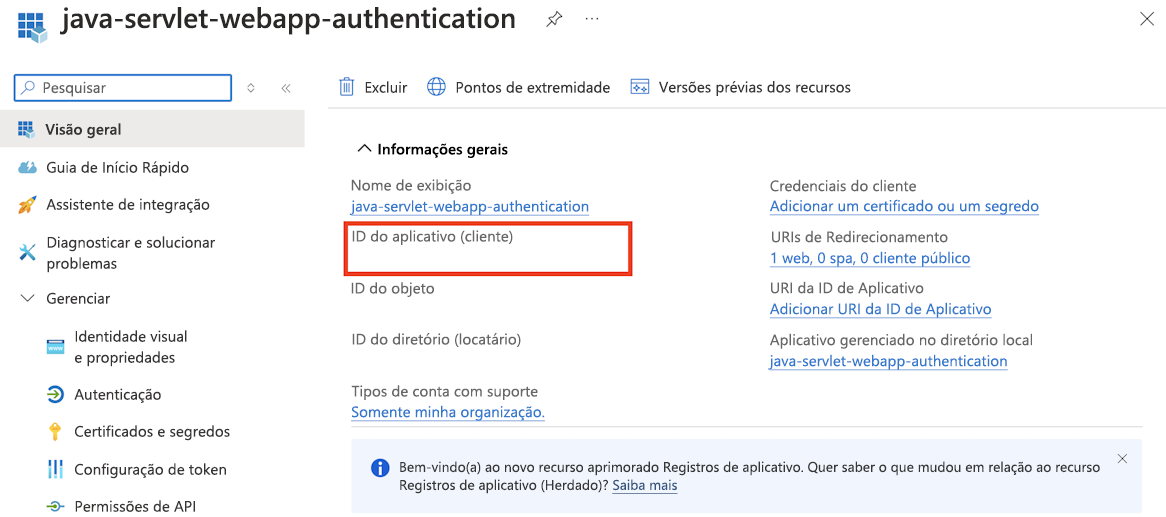 Captura de ecrã a realçar o ID da Aplicação de uma aplicação registada com o Microsoft Entra ID no portal do Azure.