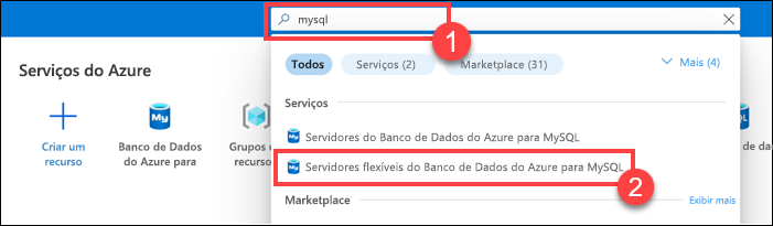 Captura de tela da barra de pesquisa na parte superior do portal mostrando os resultados da pesquisa por mysql.