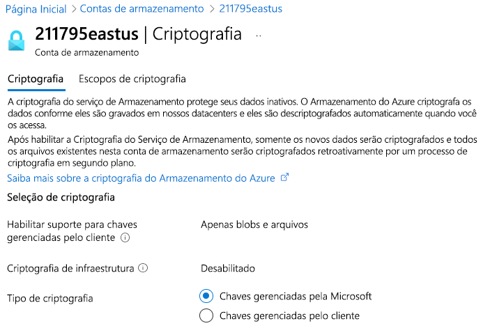 Captura de ecrã que mostra a encriptação do Armazenamento do Azure, incluindo chaves geridas pela Microsoft e chaves geridas pelo cliente.