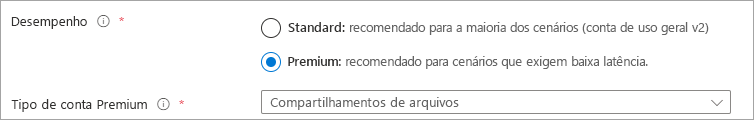 Uma captura de tela do botão de opção de desempenho com premium selecionado e tipo de conta com FileStorage selecionado.