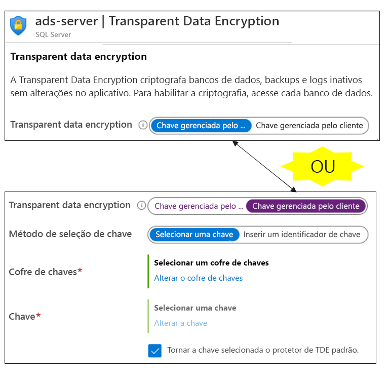 Captura de tela do formulário de configuração Criptografia de Dados Transparente.