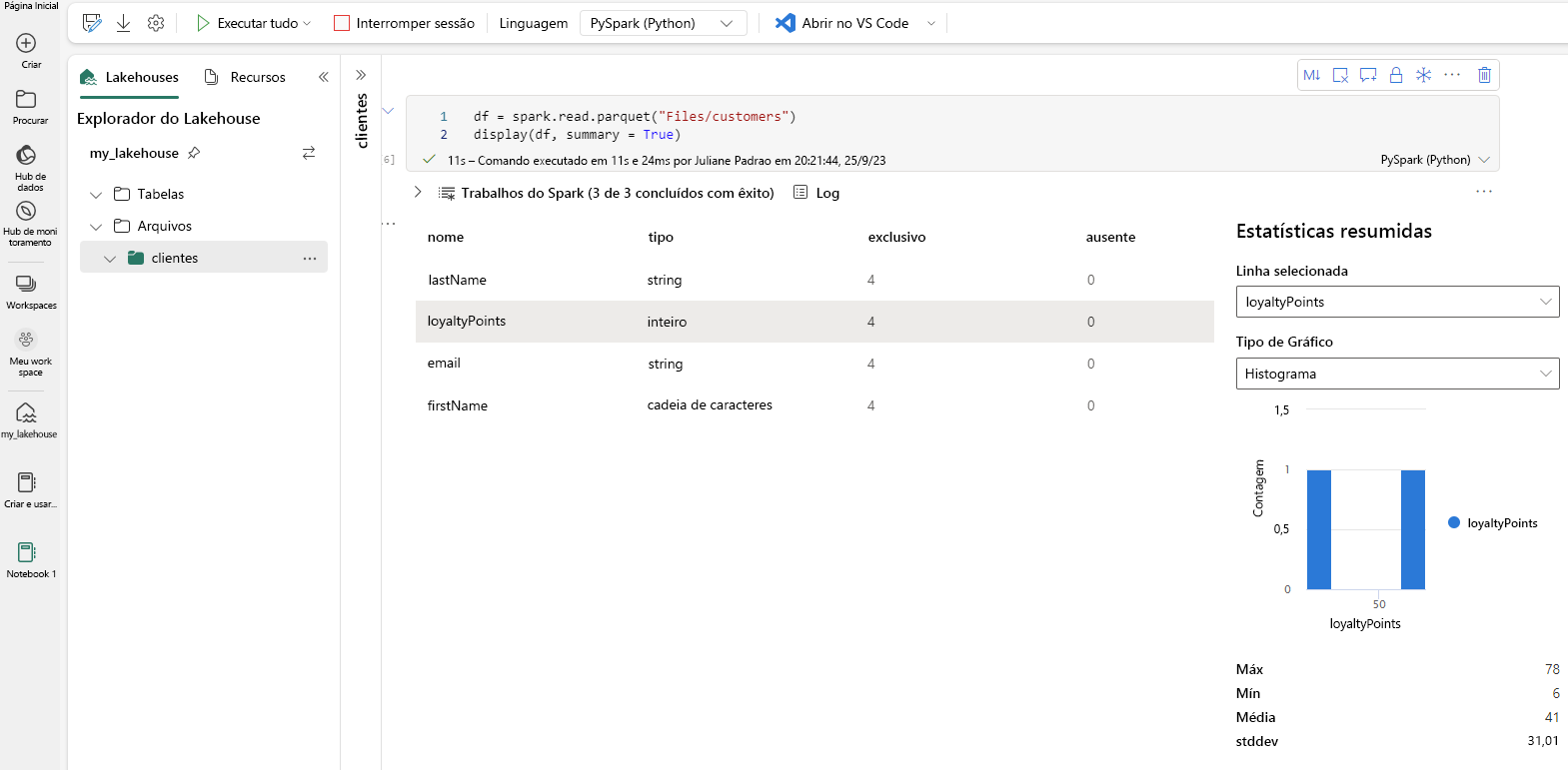 Screenshot of the summary statistics being automatically presented without the need for any additional coding.