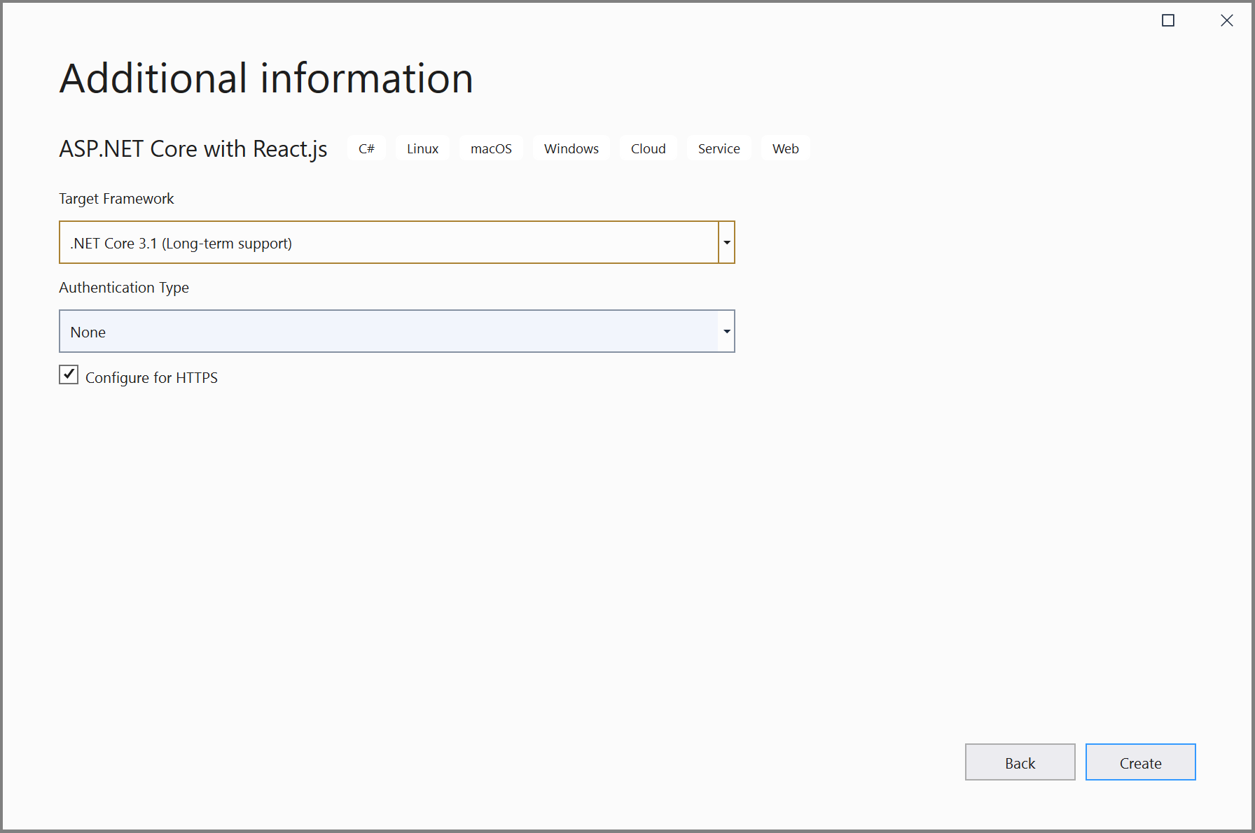 Captura de tela da criação de um projeto de React.js – Tela de informações adicionais.