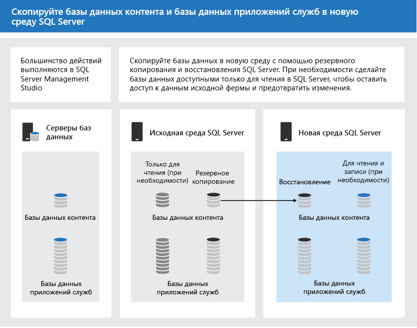 Использование инструментов SQL Server для копирования баз данных