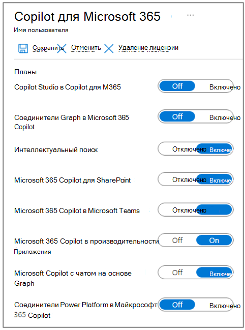Назначение компонентов пользовательской лицензии Copilot.