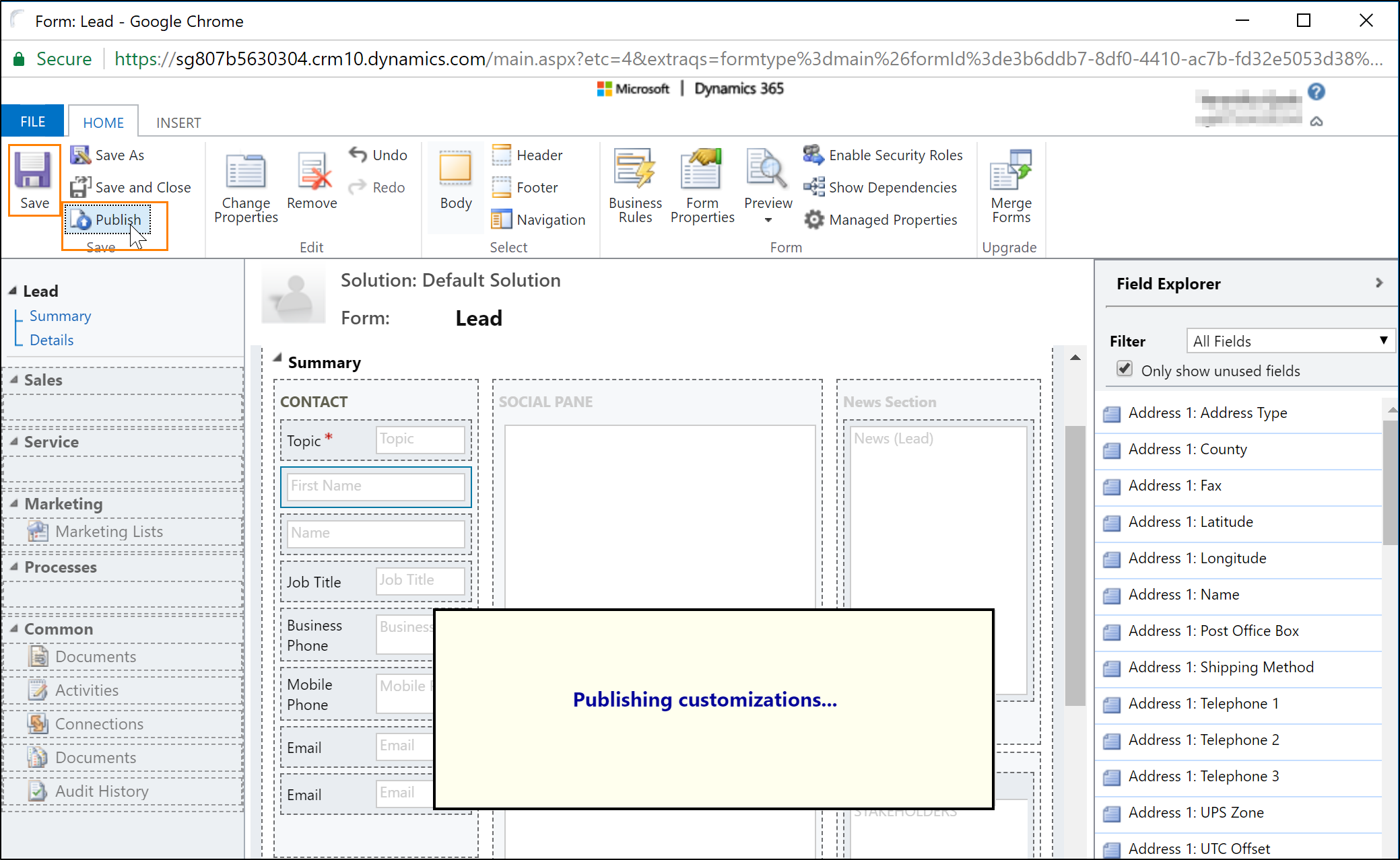 Screenshot of click path to save and publish customizations on a form.