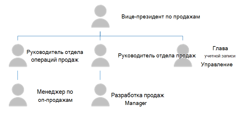 Схема структуры ролей в Salesforce. Роль вице-президента по продажам находится на верхнем уровне иерархии и имеет трех подчиненных, а именно: руководителя операций по продажам, руководителя отдела продаж и руководителя управления счетами. Руководитель отдела продаж имеет менеджера по продажам в качестве подчиненного. Руководитель отдела продаж имеет менеджера по развитию продаж в качестве подчиненного.