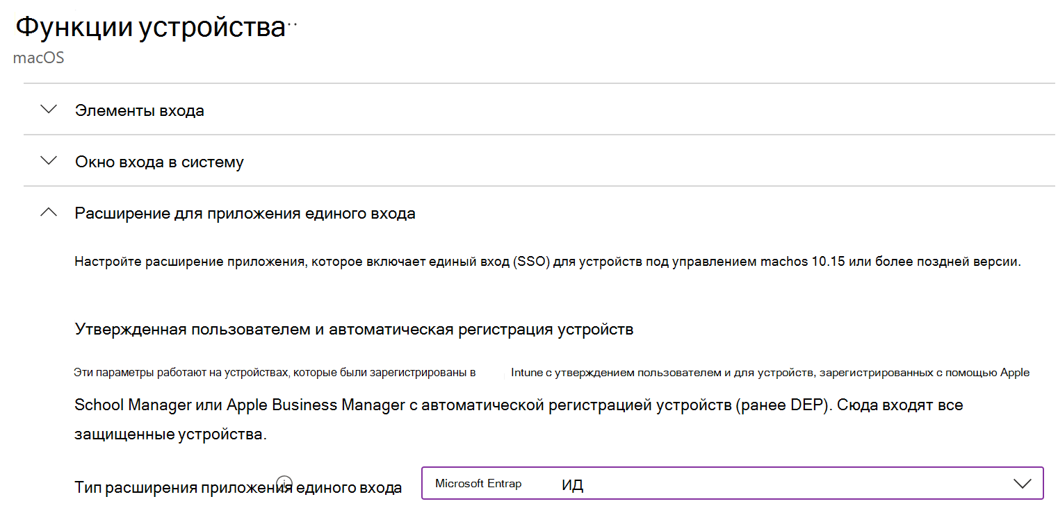 Снимок экрана: тип расширения приложения единого входа и Microsoft Entra ID для macOS в Intune