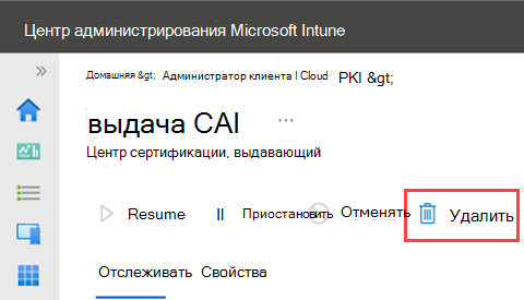 Пример снимка экрана: выделено действие удаления для выдающего ЦС.