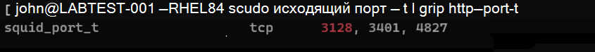 Снимок экрана, на котором показаны результаты проверка службы.