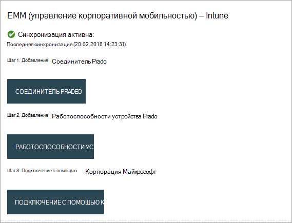 Снимок экрана: окно Pradeo EMM в Intune