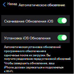 Снимок экрана, на котором показаны параметры автоматического обновления на устройствах Apple iOS/iPadOS.