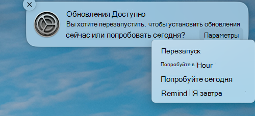 Пример уведомления о том, что обновление доступно на устройстве MacOS Apple.