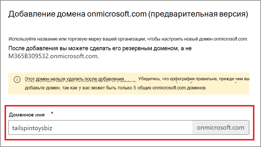 Снимок экрана: страница добавления домена onmicrosoft.