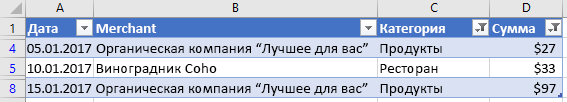 Данные таблицы, отфильтрованные в Excel.