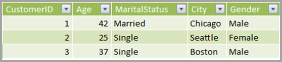 Screenshot showing three columns with the headings Customer ID, Age, Hat Size, and City.