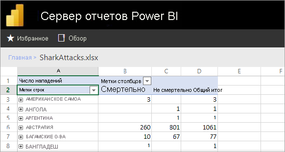 Excel reports viewed from the report server web portal