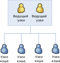 Ведущие узлы кластера кэша