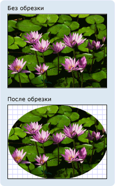 Изображение с и без обрезки