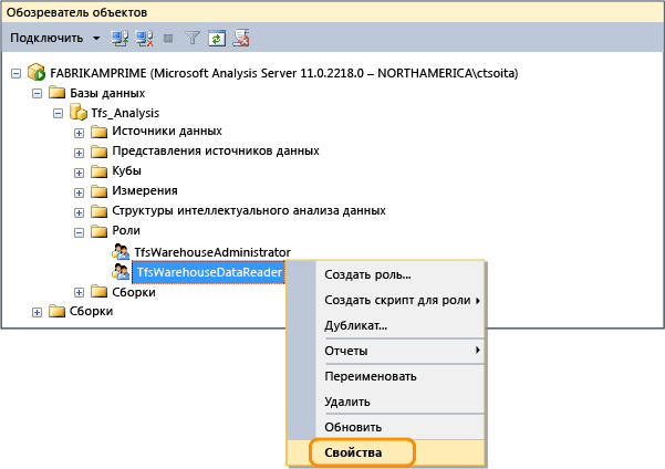 Открытие свойств роли чтения данных Tfs_Analysis