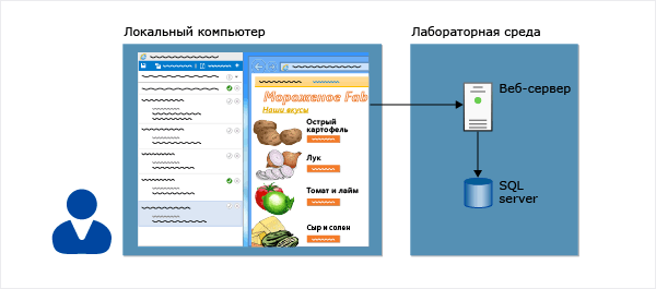 Ручное тестирование с использованием лабораторных серверов.