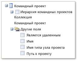 Поля командного проекта в сводной таблице