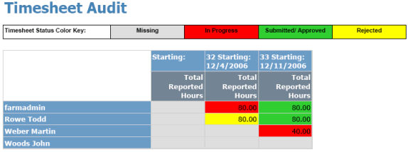 Timesheet Audit report