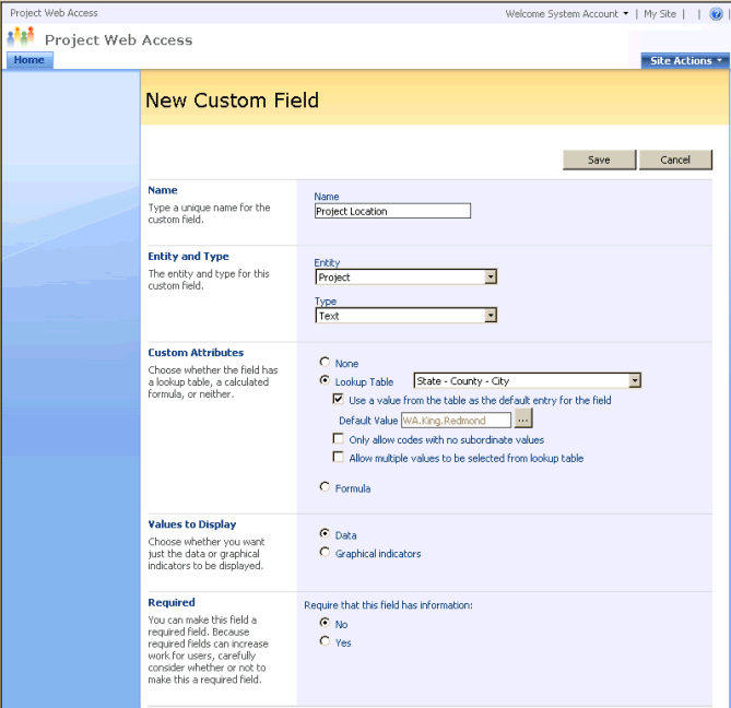 Creating an enterprise custom field