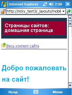 Настроенный раздел заголовка на домашней странице