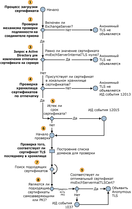 Выбор входящего анонимного сертификата TLS