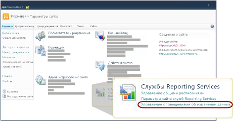 Раздел служб Reporting Services на странице «Параметры сайта»