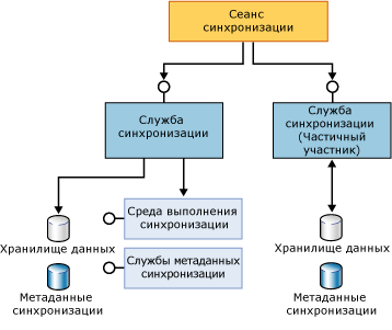 Компоненты полноправного и частичного участника