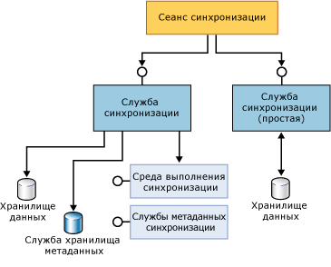 Компоненты полноправного и простого участника